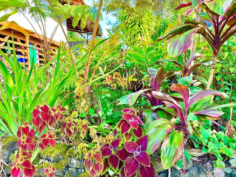 Puna Zen Botanical Garden Retreat Keaau Exterior photo
